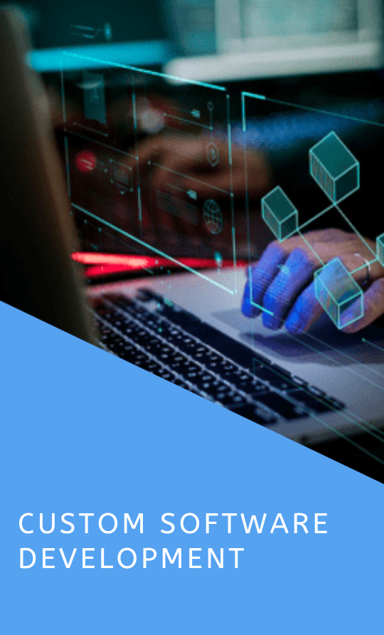 Custom software development