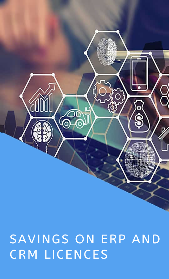 Savings on ERP and CRM licences