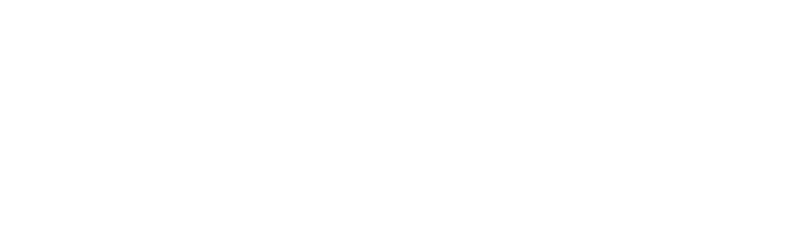 Success storie Pepco - illusion Studio